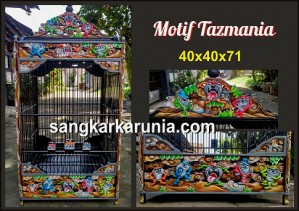 Motif Tazmania