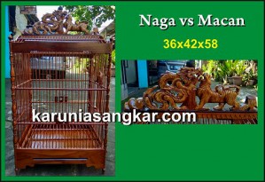 Naga vs Macan