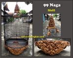 99 Naga